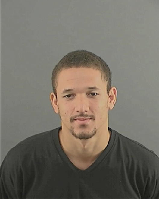 JOHNSON, RANSOM A - Peoria County, IL