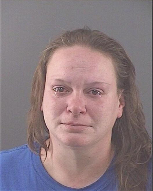 LANSFORD, LISA M - Peoria County, IL