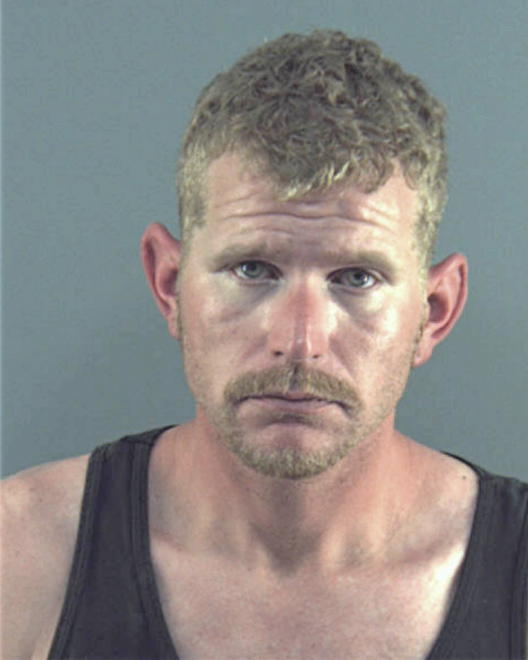 HAMANN, JAYSEN LEE - Peoria County, IL