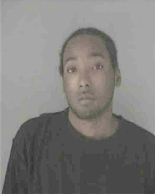 JOHNSON, DAVID DEANDRE - Peoria County, IL
