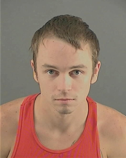 DAVIS, BRYAN ROBERT - Peoria County, IL