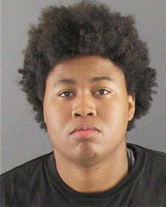 PELMORE, RONEESHA RZ - Peoria County, IL