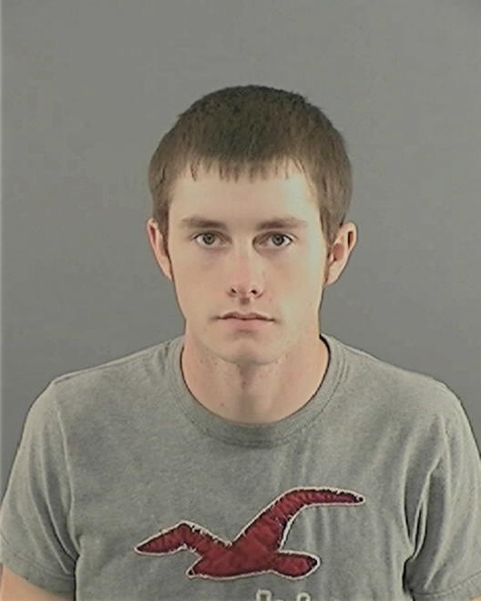 REGINALD, JOSHUA STEVEN - Peoria County, IL