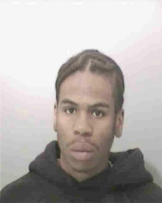 LEWIS, BRANDON MITCHELL - Peoria County, IL