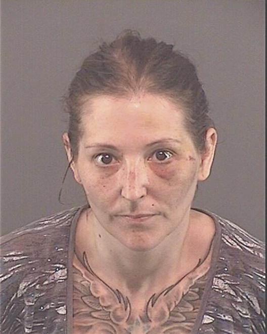 PELTEK, JACINDA LEANN - Peoria County, IL