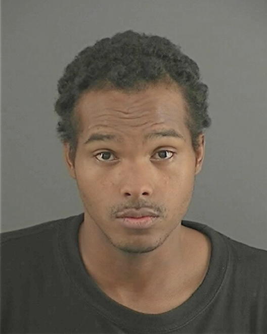 PALMER, HASAN J - Peoria County, IL