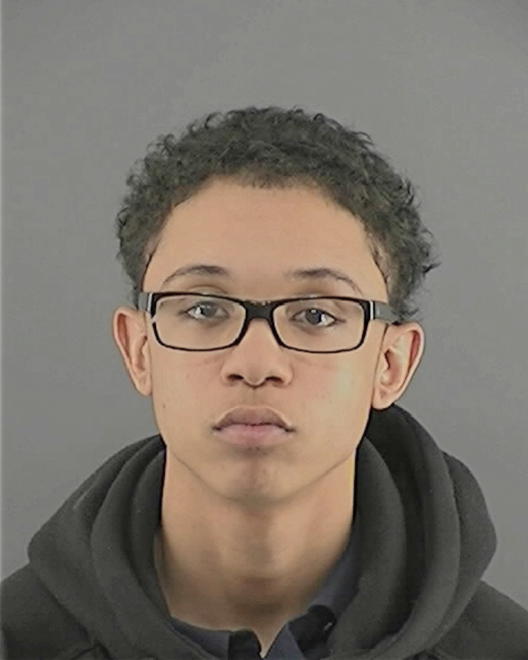 WILLIAMS, TERRANCE DARNELL - Peoria County, IL