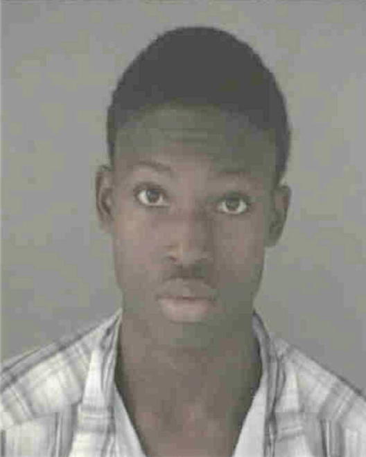 MCGEE, DARNELL MAURICE - Peoria County, IL