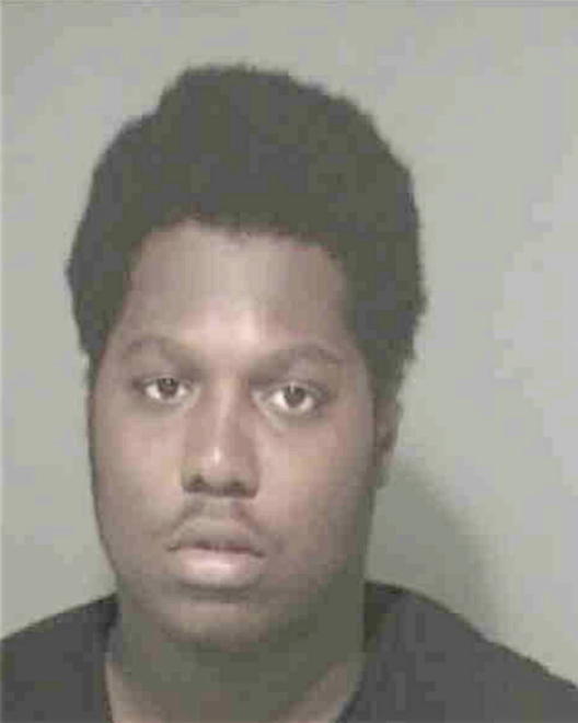 JOHNSON, RICKY LEE - Peoria County, IL