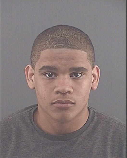 MARSHALL, TERRENCE J - Peoria County, IL