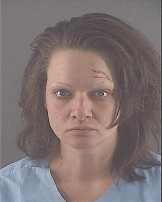 HARCAR, NICOLE P - Peoria County, IL