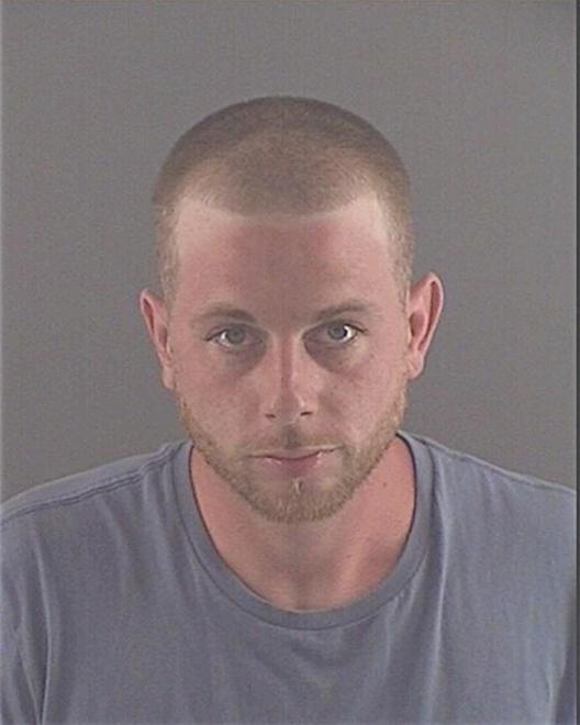DAVISON, NATHAN P - Peoria County, IL