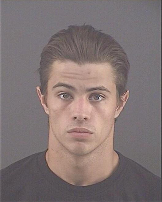FORCE, LAYNE A - Peoria County, IL