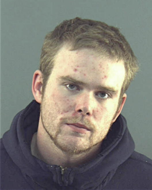 HANSEN, JOSHUA T - Peoria County, IL