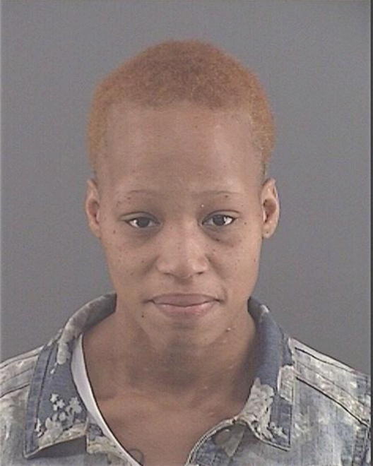 LEE, TICHASHA MONAE - Peoria County, IL
