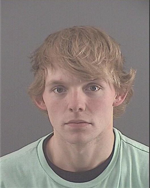 DZINGLEWSKI, BRADY J - Peoria County, IL