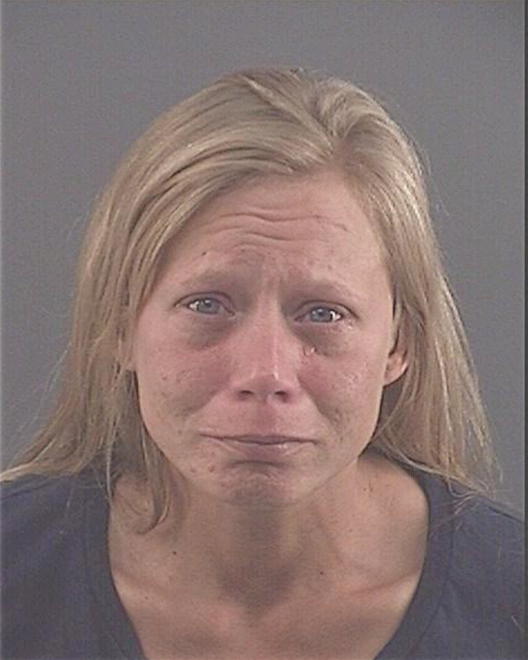 PHILLIPS, JANNA LEE - Peoria County, IL