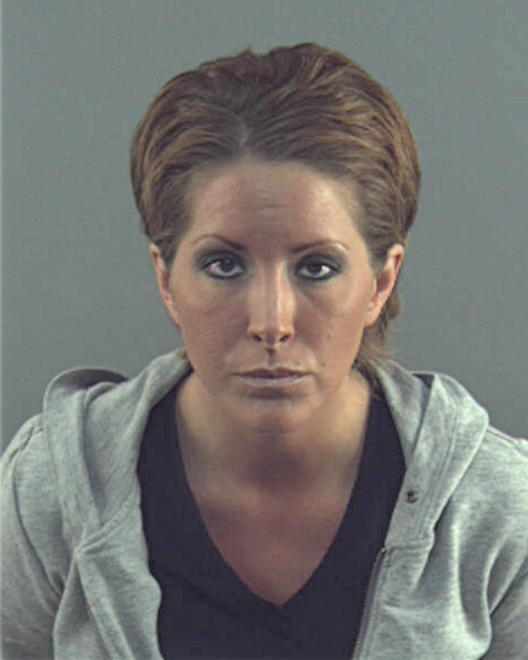 SIMMONS, LISA ANN - Peoria County, IL