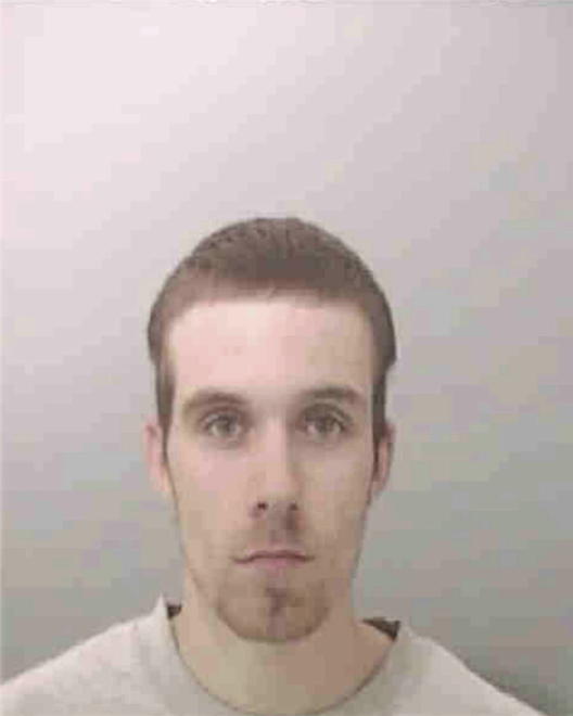 PEDROZA, BRIAN ANTHONY - Peoria County, IL