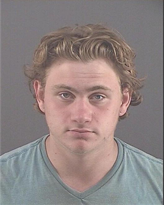 VARDA, MITCHELL - Peoria County, IL