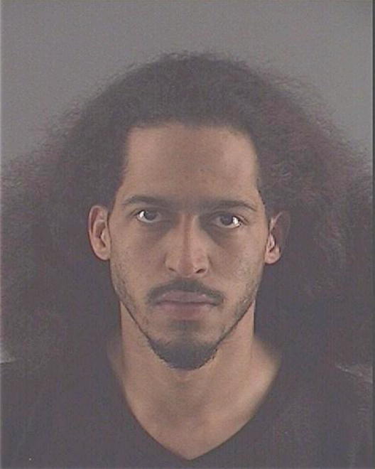SEIDEL, DERRICK J - Peoria County, IL