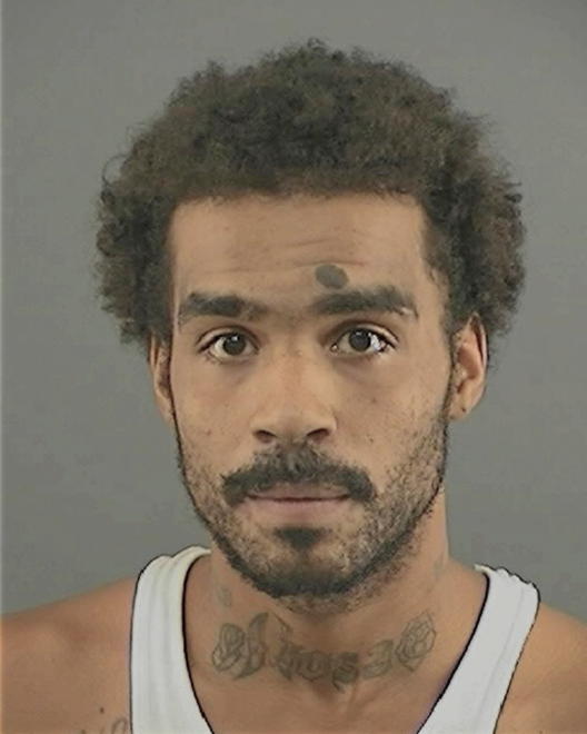 CARPENTER, MARCUS ALLEN - Peoria County, IL