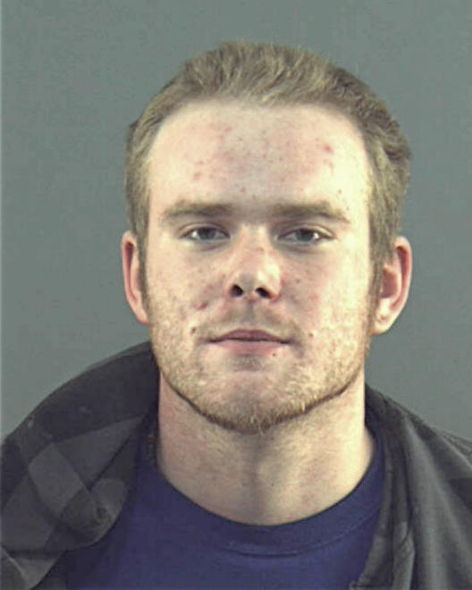 HANSEN, JOSHUA T - Peoria County, IL