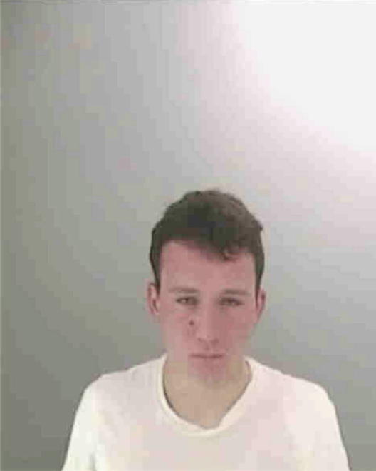 WALKER, JOSHUA M - Peoria County, IL