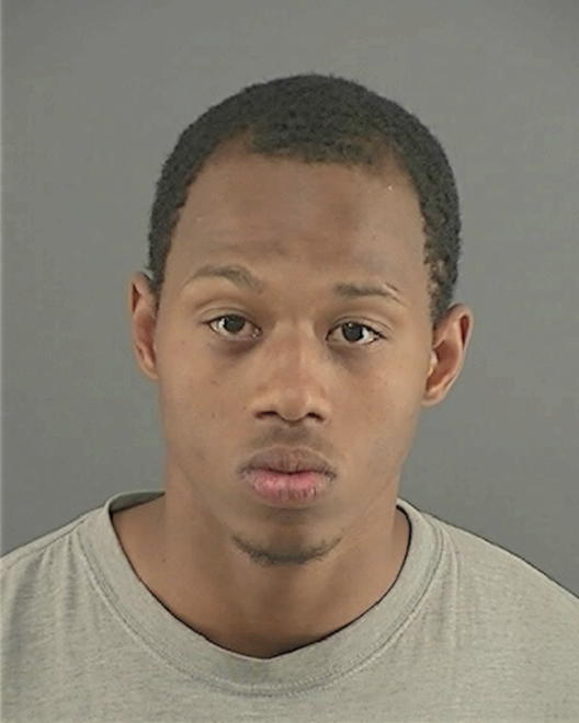 POLNITZ, BRANDON J - Peoria County, IL