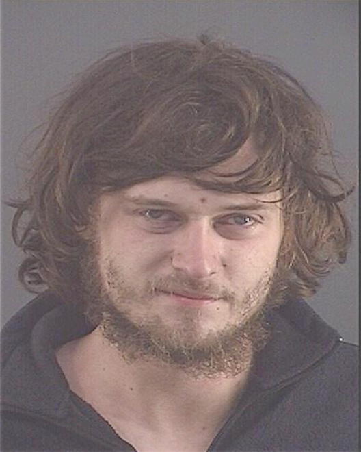 LANE, DYLAN MICHAEL - Peoria County, IL