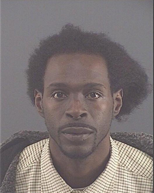 WEBSTER, ANDRE T - Peoria County, IL