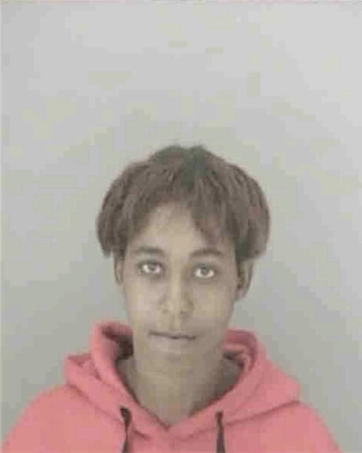 PAGE, CARLLA - Peoria County, IL