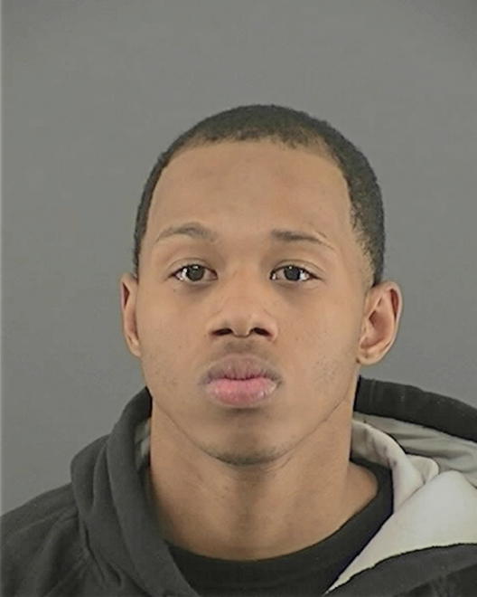 POLNITZ, BRANDON J - Peoria County, IL