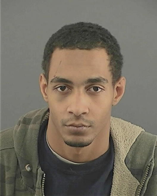 ANDERSON, BRANDON ALEXANDER - Peoria County, IL