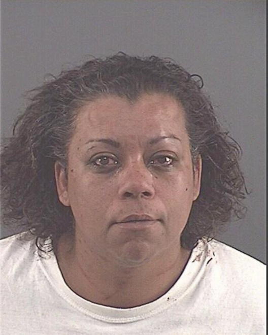 BUTCHER, STACY N - Peoria County, IL