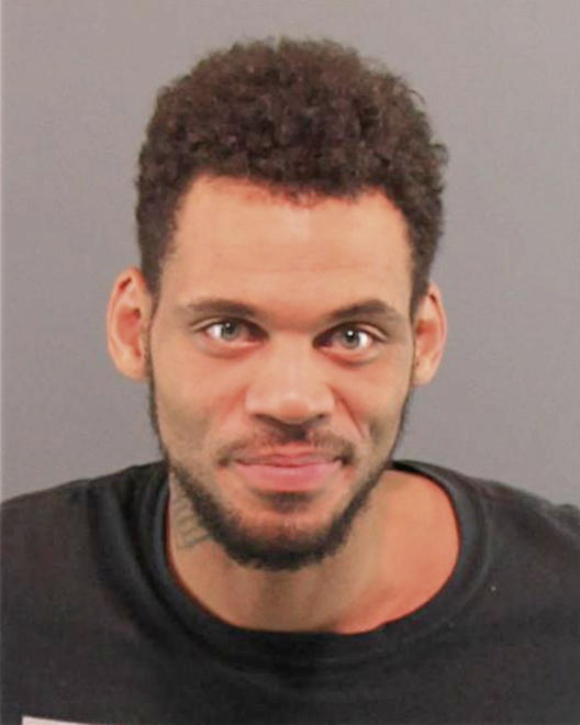 POLNITZ, SYLVESTER MICHAEL - Peoria County, IL