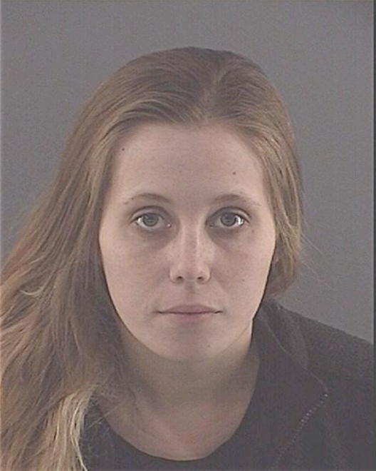 ROYER, ANDREA LYNNE - Peoria County, IL