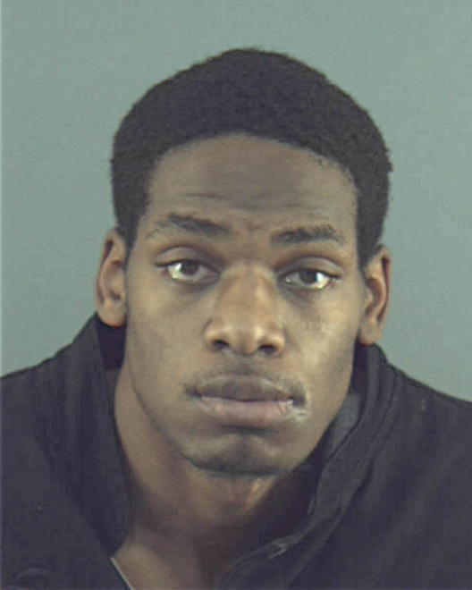 BRADLEY, TERRENCE MATTHEW - Peoria County, IL