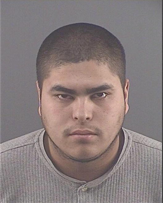 OCHOA, OLIVER - Peoria County, IL