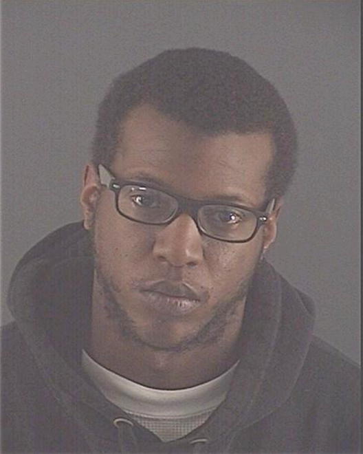 STEELAND, OCTAVIUS M - Peoria County, IL