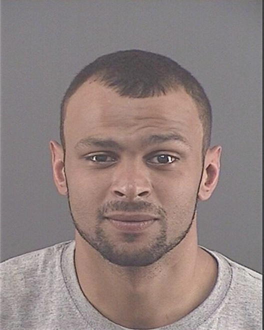 MITCHELL, STEVEN R - Peoria County, IL