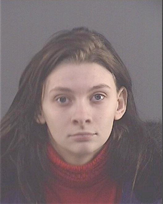 BRAZEE, ARIEL M - Peoria County, IL