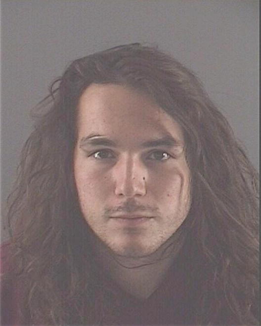 LANE, TYLER J - Peoria County, IL