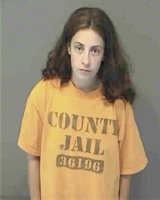 STECK, SHANNON NICOLE - Peoria County, IL