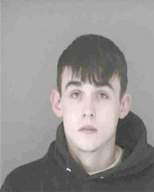 BRIDGEMAN, MATTHEW ALLAN - Peoria County, IL