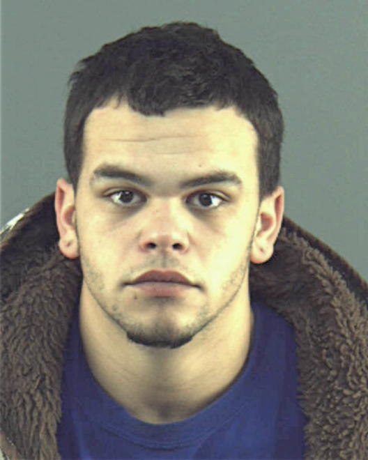ROBINSON, BRANDON JOHN - Peoria County, IL