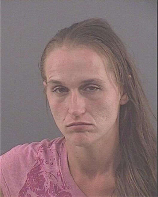 SCHALK, TIFFANY LYNN - Peoria County, IL