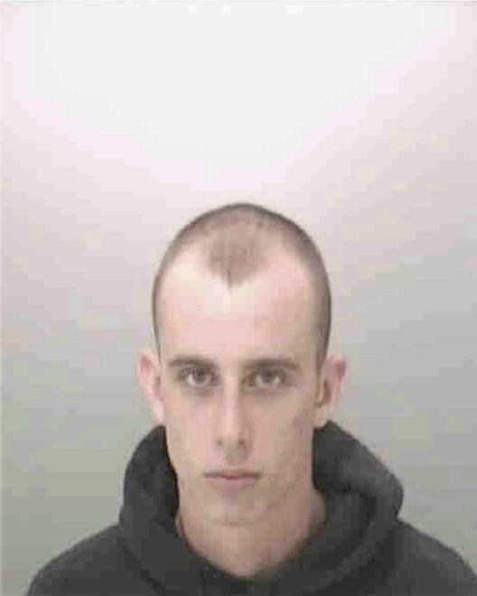 HARDESTY, JOSHUA ALLEN - Peoria County, IL