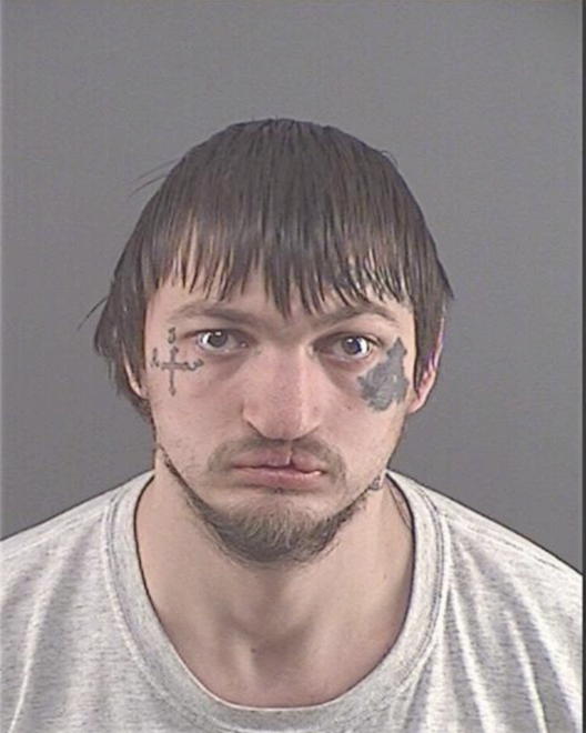 KRASNER, AARON M - Peoria County, IL