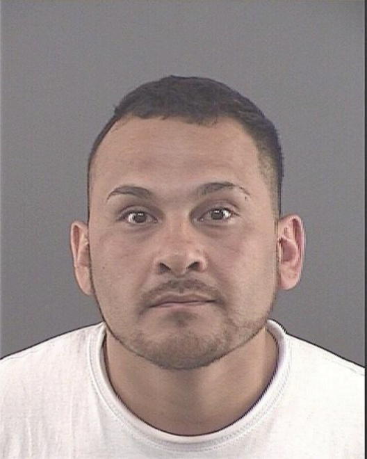 GONZALEZ-ORTEGA, CESAR - Peoria County, IL